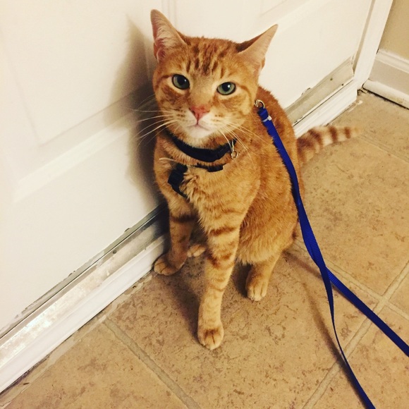 Frills with Thrills! 🎀 - Picture 4 of 6